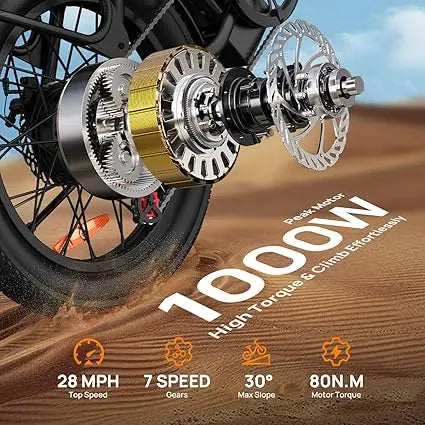 URLIFE E20 1000W Electric Bike 48V Battery Fat Tire MPH