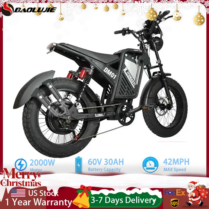 Baolujie DM01 Electric Bicycle 60V 42 MPH Max Speed EBike