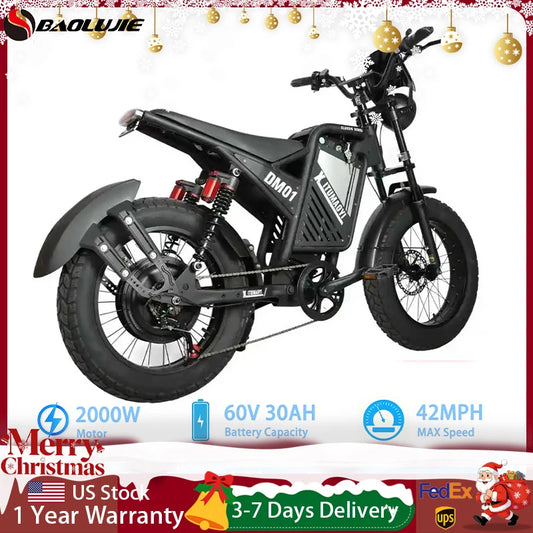 Baolujie DM01 Electric Bicycle 60V 42 MPH Max Speed EBike