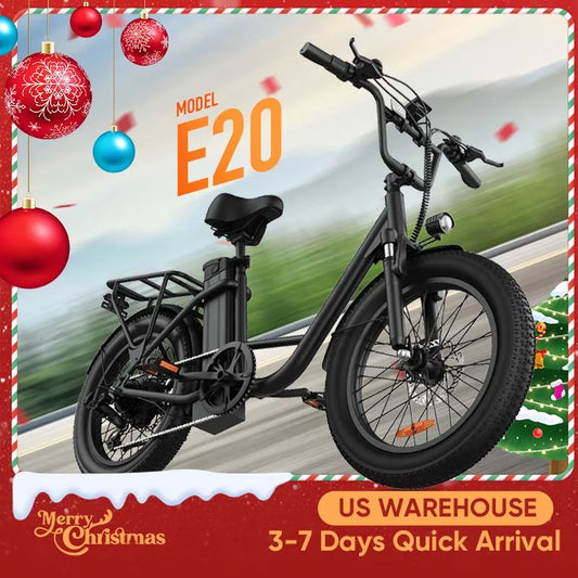 URLIFE 1000W Fat Tire Electric Bike 48V Removable Battery