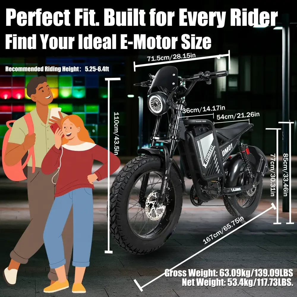 Baolujie DM01 Electric Bicycle 60V 42 MPH Max Speed EBike